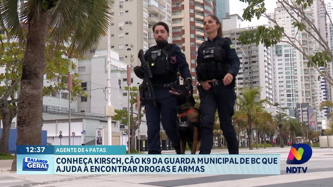 Kirsch, o Cão Farejador que Aumenta a Segurança em Balneário Camboriú