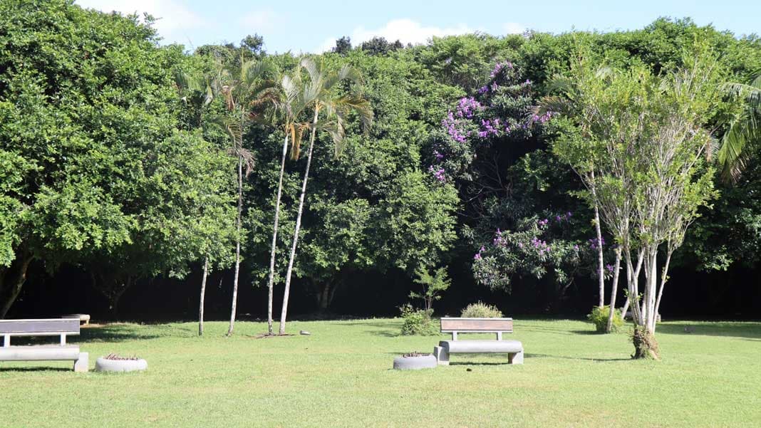 Balneário Camboriú lança Junho Verde com extensa programação de sustentabilidade