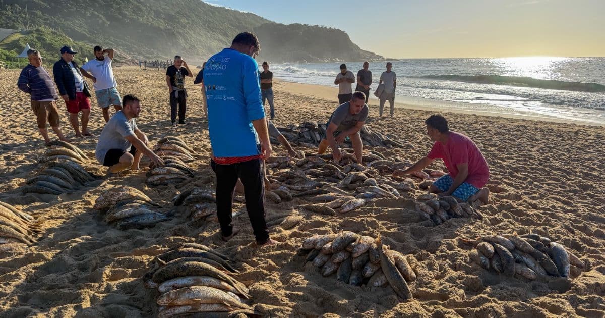 Balneário Camboriú reage ao fim da pesca da tainha em SC: ‘Centenas sem o ganha-pão’